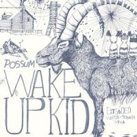 Indian Summer_Possum,Beat Happening