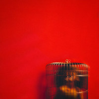 Sunday_Eryn Allen Kane