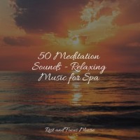 A Time and a Place_Wellness,Meditative Music Guru,Ambient Forest