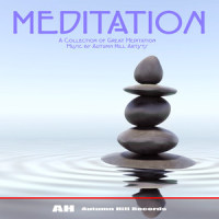 Canon_Various Artists,Michael Silverman