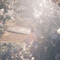 朝になって夢からさめて (弾き語り)_カネコアヤノ