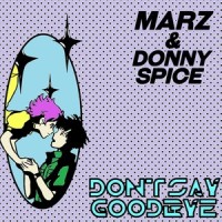 Don't Say Goodbye (feat. MARZ)_Donny Spice,Marz