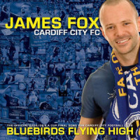 Bluebirds Flying High_James Fox