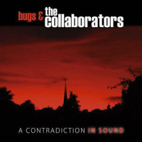 Big Wide World_Bugs