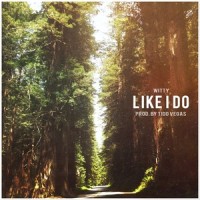 Like I Do_Witt Lowry