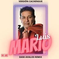 Voy A Olvidarme De Mi (feat. Mario Luis) (Versión Cachengue)_Dani Avalos Remix,Mario Luis