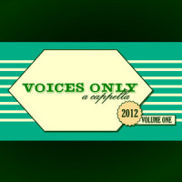 Titanium_Various Artists,Voices in Your Head