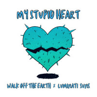 My Stupid Heart_Walk Off the Earth,Luminati Suns