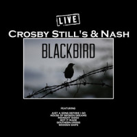 The Lee Shore_Crosby, Stills & Nash