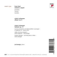 Allegro in B flat minor, Op. 8_Yu Kosuge,Robert Schumann