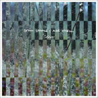 The Shallow End_Devon Sproule,Mike O'Neill