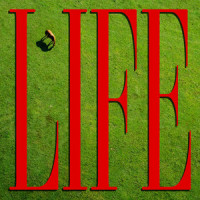 Life_Johnny Hunter,Nicholas Hutt,Nicholas Cerone,Xander Burgess,Jack Moffitt,Al Wright,Gerry Thompson