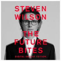 KING GHOST_Steven Wilson