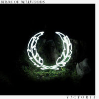 Melatonin_Birds of Bellwoods