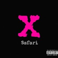 The Phase_Safari