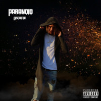 Paranoid_Discrete