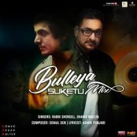 Bulleya_Shahid Mallya,Sohail Sen,Rabbi Shergill