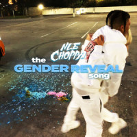 The Gender Reveal Song_NLE Choppa