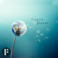 Fragile Beauty_Felt