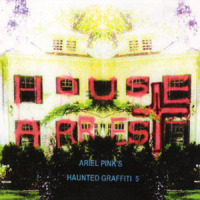 Poultry Head_Ariel Pink's Haunted Graffiti
