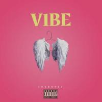 VIBE(feat. MC STAN, Harjas & Loka)_King Shubh X Harjas Harjaayi,MC STAN,Harjas,Loka