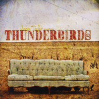 Nashville Blues_Logan Taylor,The Thunderbirds