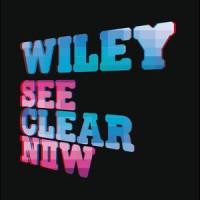 Step by Step(feat. Hot Chip)_Wiley,Hot Chip