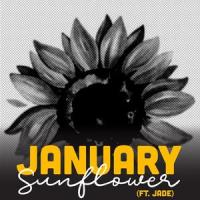 January Sunflower_11Sins,Jade