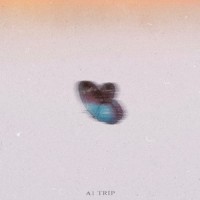 霓虹灯下的黑色是你_A1 TRIP,Wizi.