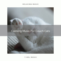 Calming Music For Faithful Cats_Sleepy Cat