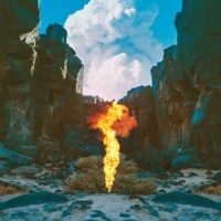Surface_Bonobo,Nicole Miglis