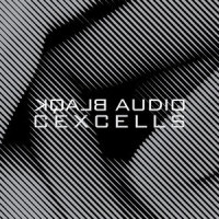 Stiff Kittens_Blaqk Audio