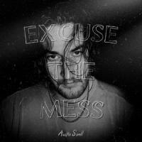 Excuse the Mess_Austin Snell