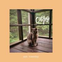 Calypso_ash tuesday