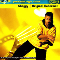 Bullet-Proof Buddy_Shaggy