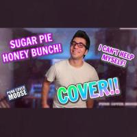 I Can't Help Myself_Punk Cover Moose