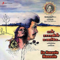 Paarijatha Poove_Ilaiyaraaja,S.N. Surendar,K.S. Chithra
