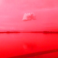 Homesick_Hunny,slenderbodies