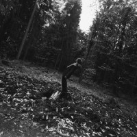 Katrina_Joker Out