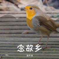 念故乡_洛天依
