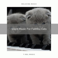 Silent Melodies For Faithful Kittens_Sleepy Cat