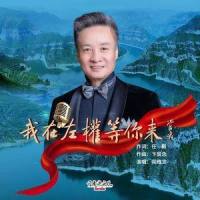 我在左权等你来_阎维文