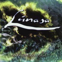 January Snows/Laura Lynn Cunningham_Lúnasa