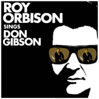 Oh, Such A Stranger_Roy Orbison