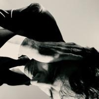 Stop n’ Shop_Andrew Bird