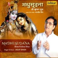 Hey Krishna Karuna Sindhu_Jagjit Singh