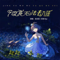 今夜我无法去入睡_洛天依,刘雨Key