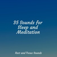 Peaceful Sunshine_Zarobi,Sleepy Times,Tinnitus