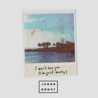 I Don't Love You (I'm Just Lonely)_Junge Junge