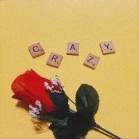 Crazy_David Alexander